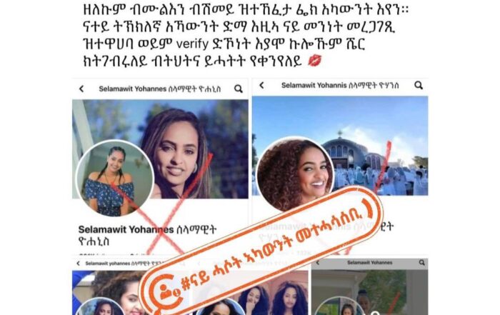 fake facebook pages and accounts impersonating artist selamawit yohannes
